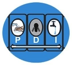 pdi logo new